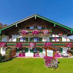 Guest house - Alpenstern